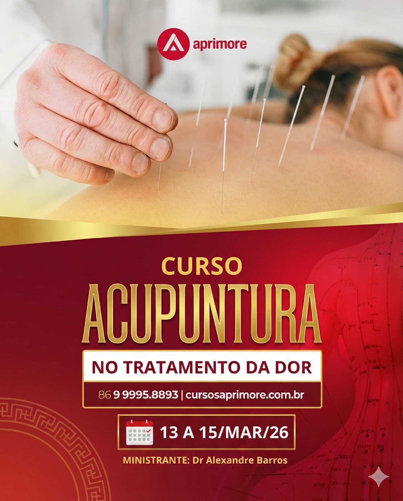 Acupuntura no Tratamento da Dor